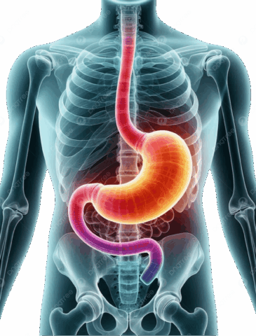 Best stomach doctor in nagpur