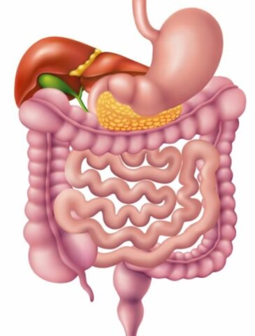 Liver specialist in nagpur