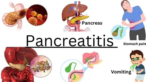 Pancreatitis treatment nagpur